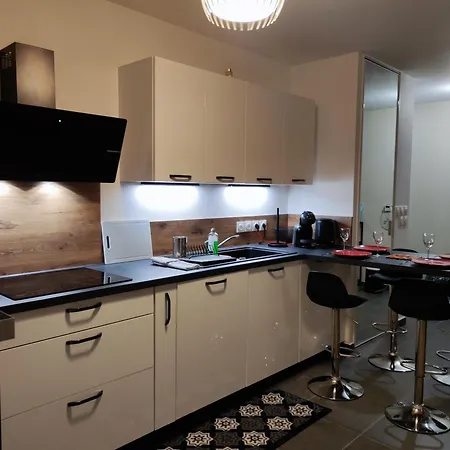 L'authenticite, Jardin Et Parking Au Centre-ville Apartment Dijon