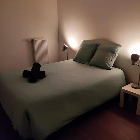 L'authenticite, Jardin Et Parking Au Centre-ville Apartment Dijon