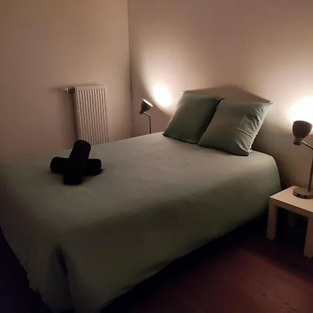 Daire L'authenticite, Jardin Et Parking Au Centre-ville Dijon