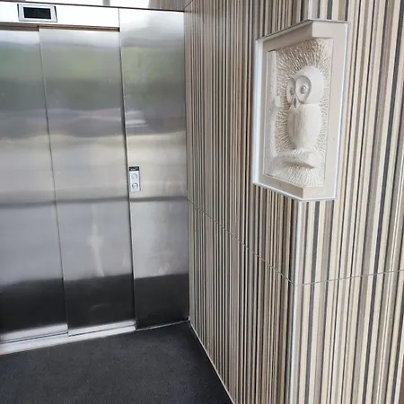 公寓 L'authenticite, Jardin Et Parking Au Centre-ville 第戎