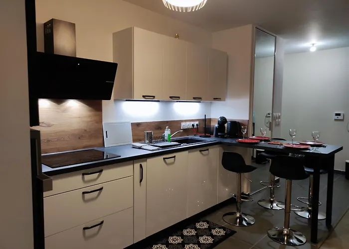 L'authenticite, Jardin Et Parking Au Centre-ville Apartman Dijon