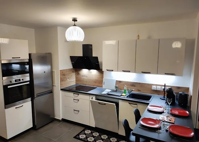 L'authenticite, Jardin Et Parking Au Centre-ville Ντιζόν