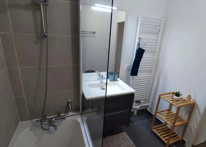 L'authenticite, Jardin Et Parking Au Centre-ville Apartman Dijon