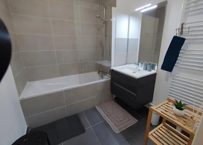 L'authenticite, Jardin Et Parking Au Centre-ville * Ντιζόν